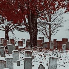 an old cemetery in the snow with red leaves on the ground and trees behind it