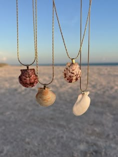 three seashells hanging from chains on the beach