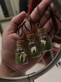 three small glass jars with tiny animals in them are being held by a person's hand