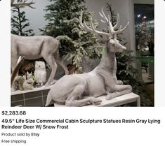 two statues of deer and bears on display in a store window with christmas trees behind them