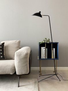 a living room with a couch, lamp and bookshelf on the side table