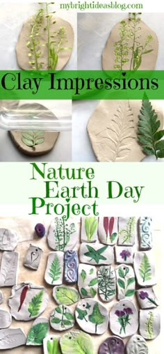 clay impressions nature earth day project for kids to learn how to make their own plants