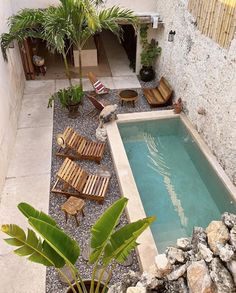 an outdoor swimming pool surrounded by plants and rocks, with chairs around the pool area