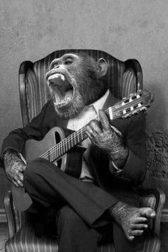 a monkey sitting in a chair holding a guitar and singing into it's mouth