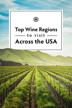 a vineyard with the words top wine regions to visit across the usa in front of it