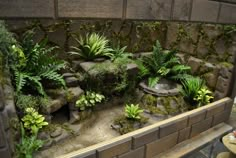 an indoor garden with rocks, plants and water in the center is displayed on a table