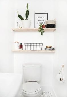 a white toilet sitting in a bathroom next to a shelf with plants and other items