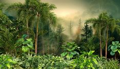 an image of a tropical forest scene with trees and plants in the foreground, on a cloudy day