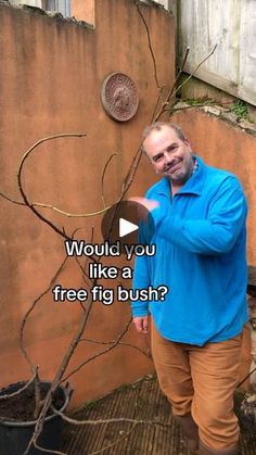 a man standing next to a tree with the words would you like a free fig bush?