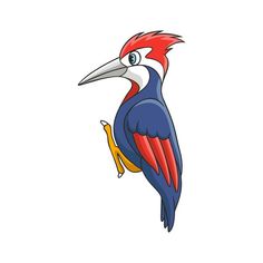 a colorful bird with red, white and blue feathers