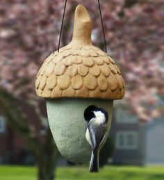 a bird is perched on top of a bird feeder