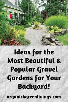 a garden with text overlay that reads ideas for the most beautiful popular gravel gardens for your backyard