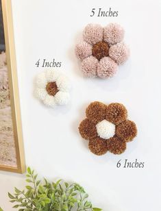 four different types of pom poms arranged on a white wall next to a potted plant