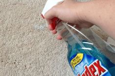 someone is cleaning the carpet with a hand sanitizer