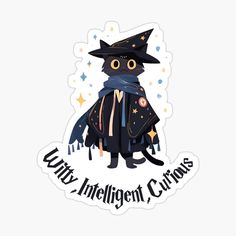 a black cat wearing a witches hat and cloak with stars on it's chest