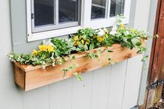 a window box filled with flowers next to a building