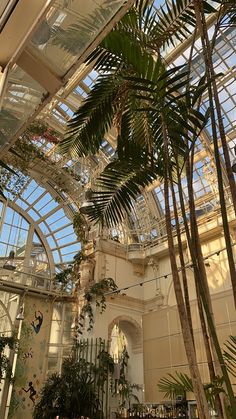 the inside of a building with lots of windows and palm trees in front of it