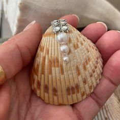 a person holding a seashell with pearls on it