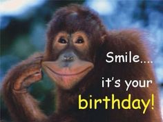 a monkey with a smile on it's face and the words smile, it's your birthday