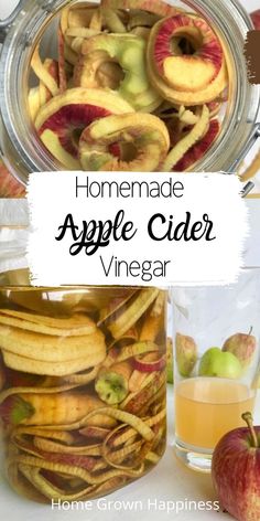 homemade apple cider vinegar recipe in a jar