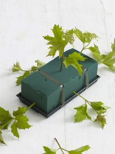 a green box sitting on top of a white table next to leaves and ivys