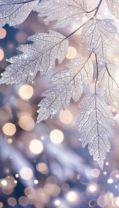 Snow Iphone Background, Winter Wonderland Phone Wallpaper, Snowflake Screensaver, Winter Holiday Wallpaper Aesthetic, Phone Winter Wallpaper, January Aesthetic Photography, Light Blue Snowflake Wallpaper, Winter Book Wallpaper, Iphone Wallpaper Aesthetic Christmas