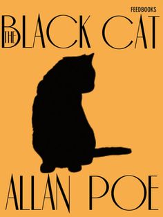 the black cat by allen poe