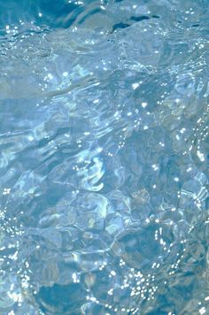 the water is very clear and blue with little ripples on it's surface