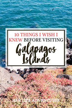 the ocean with text overlay that reads 10 things i wish knew before visiting galapagos island