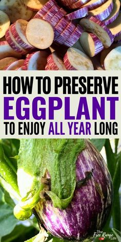 an eggplant plant with the words how to preserve eggplant to enjoy all year long