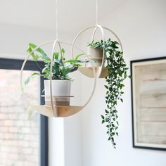 a hanging planter with two potted plants in it