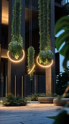 three hanging planters with plants growing from them in front of a building at night