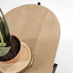 a potted plant sitting on top of a wooden table next to a slice of wood