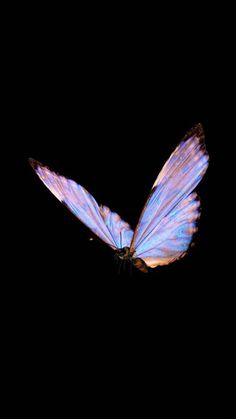 a blue butterfly flying in the dark