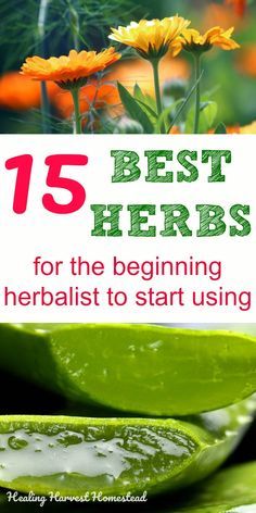 Medical Herbs And Their Uses, Herbal Remedy Garden, Natural Herbs For Diabetics, All Natural Remedies, Healthy Herbs Natural Remedies, Medicinal Herbs And Their Uses, Homemade Herbal Remedies, Herbs For Health Medicine, Natural Herbs Medicine