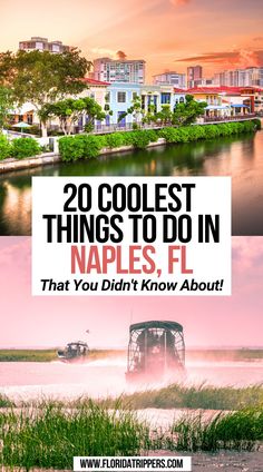 20 Coolest Things To Do In Naples, FL That You Didn't Know About! Naples Florida With Kids, Bucket List Florida, Florida Bucket List, Florida With Kids, Florida Vacation Spots, Fl Beaches