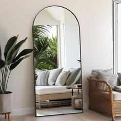 a mirror sitting on top of a wooden floor next to a couch and potted plant