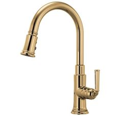 a brass colored kitchen faucet with two handles and nozzles on the side