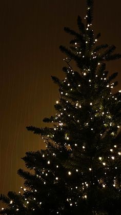 a lit up christmas tree in the dark