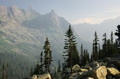 trees and rocks on the side of a mountain with mountains in the backgroud