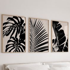 three black and white paintings on the wall above a bed