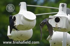 two birds that are sitting on top of a bird feeders and one is flying towards the camera