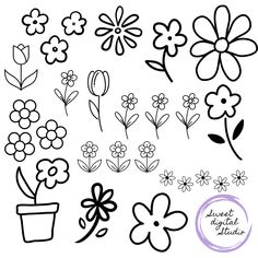 flowers are drawn in black and white on a white background