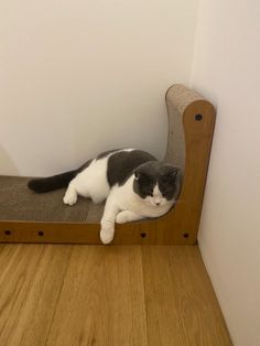 a black and white cat laying on top of a wooden chair next to a wall