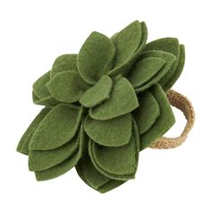 a close up of a green flower on a white background with a rope around it