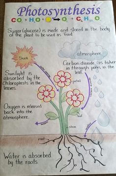 a poster describing photosyntheism and how it is used to help students understand what they are doing