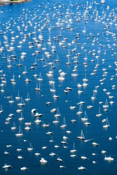 a large group of boats floating in the water