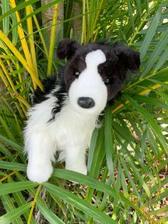 a black and white stuffed animal is hiding in the palm tree leaves with it's eyes wide open