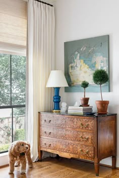 a dog is standing in front of a dresser