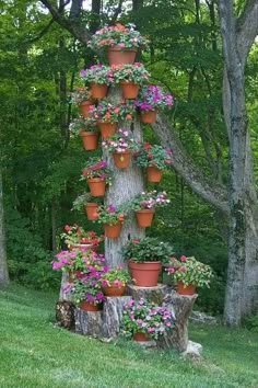 a tree stump with many potted plants on it